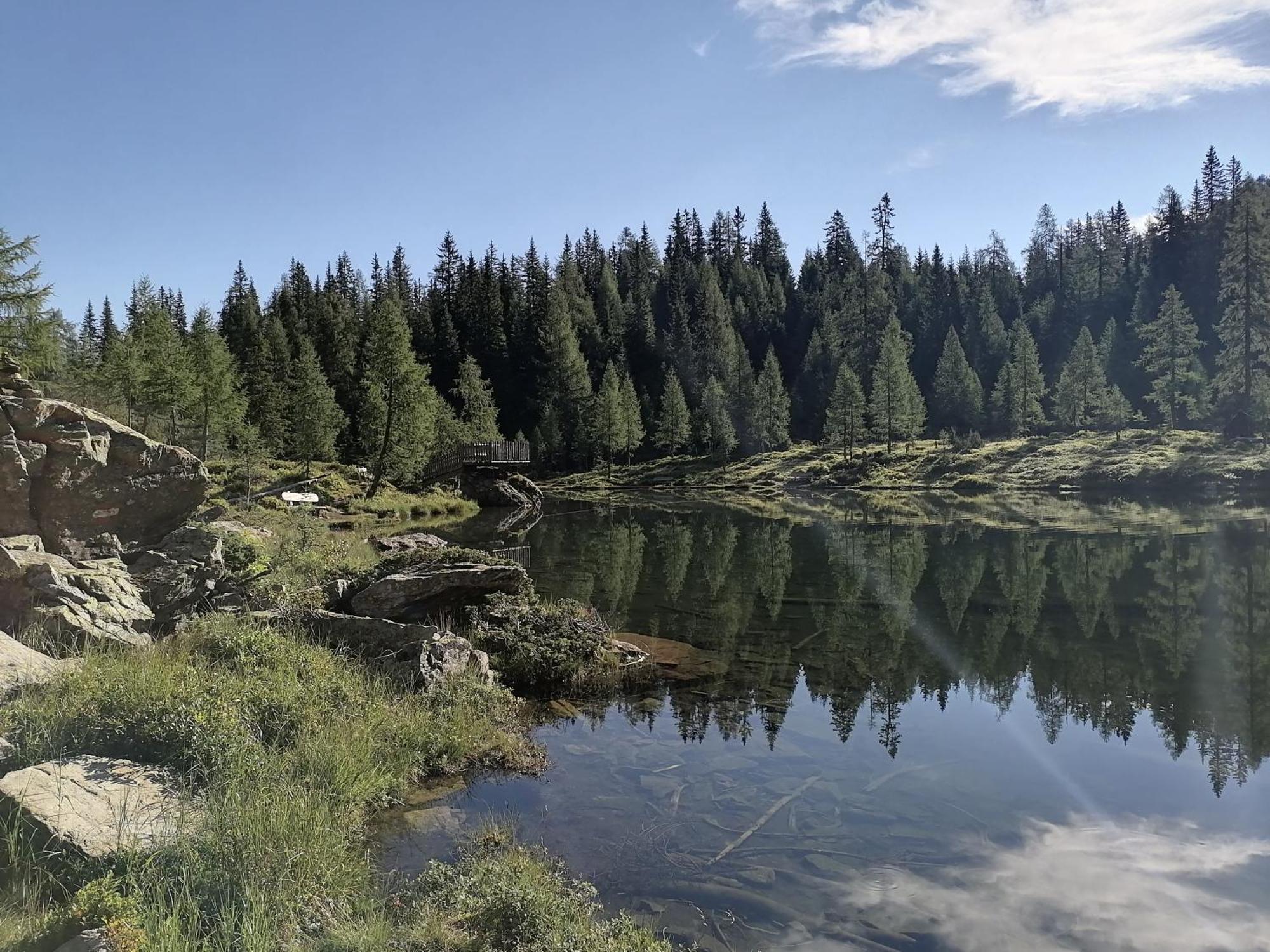 Haus Bergzauber Apartment Ramsau am Dachstein Ruang foto