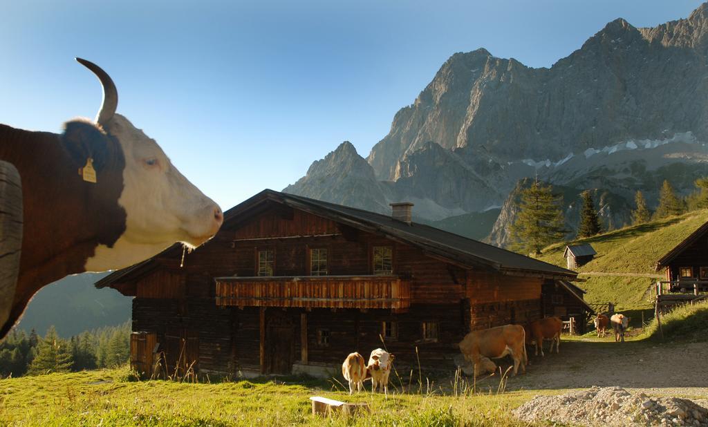 Haus Bergzauber Apartment Ramsau am Dachstein Bagian luar foto