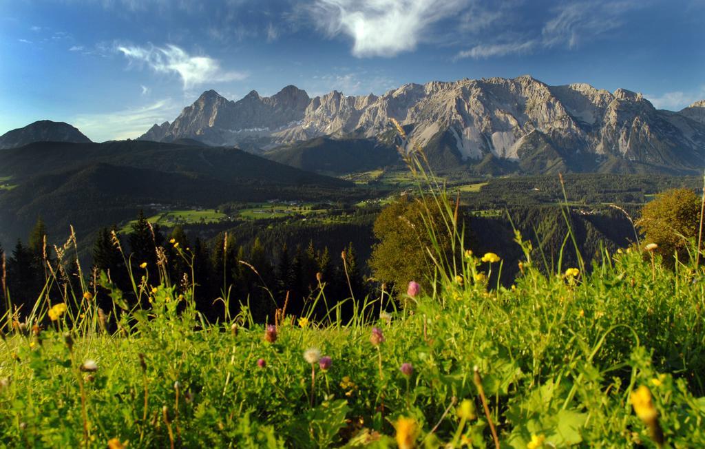 Haus Bergzauber Apartment Ramsau am Dachstein Bagian luar foto